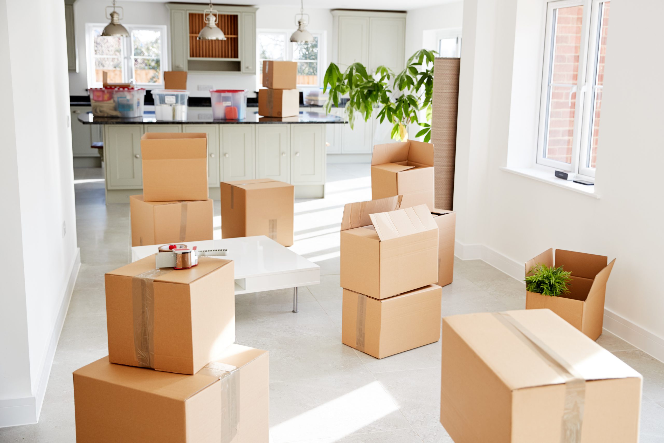 packing services in denver